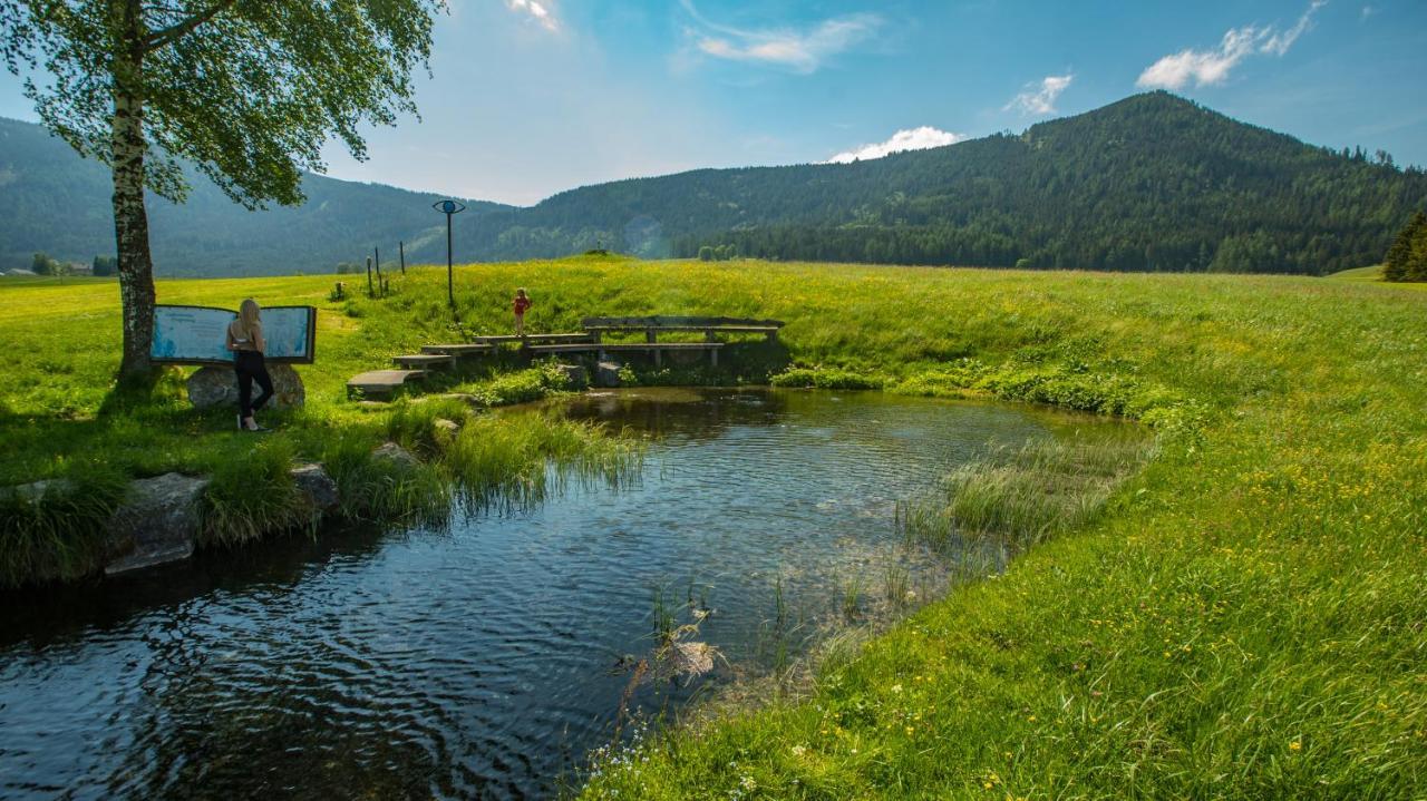 Camping Bella Austria Санкт-Петер-ам-Каммерсберг Экстерьер фото
